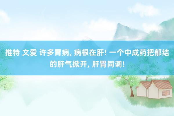 推特 文爱 许多胃病， 病根在肝! 一个中成药把郁结的肝气掀开， 肝胃同调!