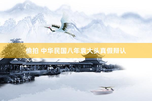 偷拍 中华民国八年袁大头真假辩认
